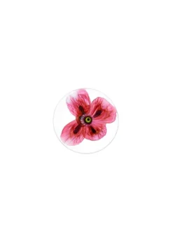 P.P. "COQUELICOT" 2024